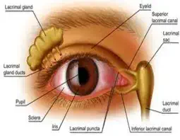 best Dry Eyes treatment in mandsaur madhya pradesh india